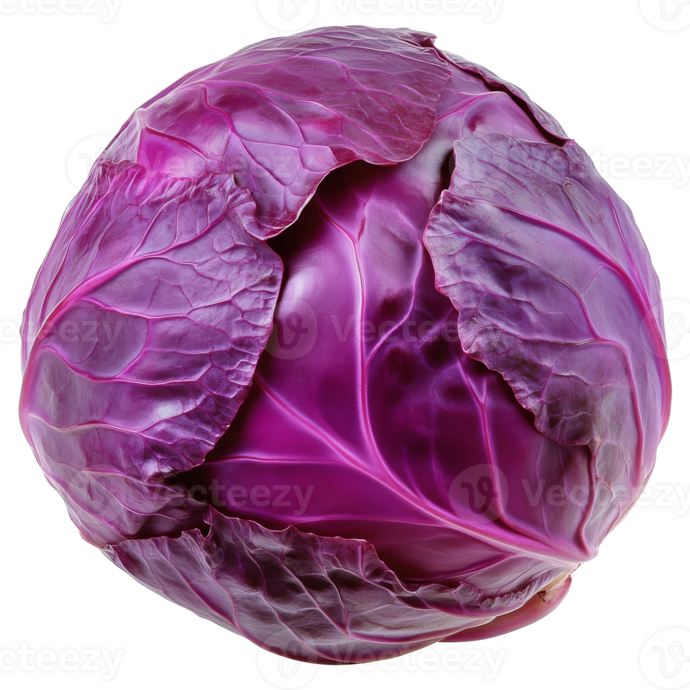 Fresh purple cabbage on a white background png