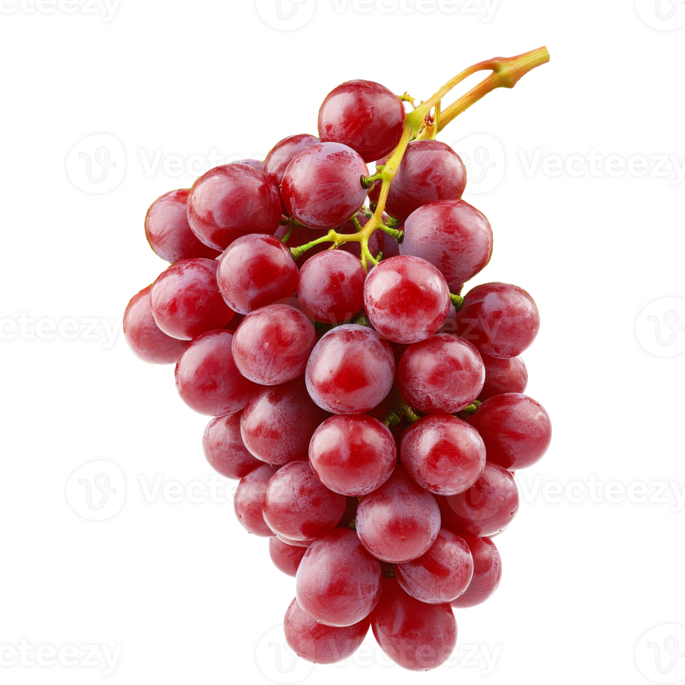 Fresh red grapes hanging on a vine branch png