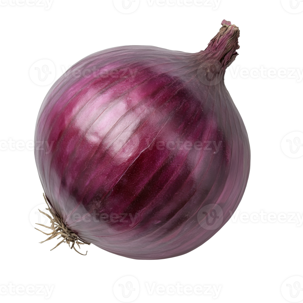 Fresh red onion showcased on a plain background png