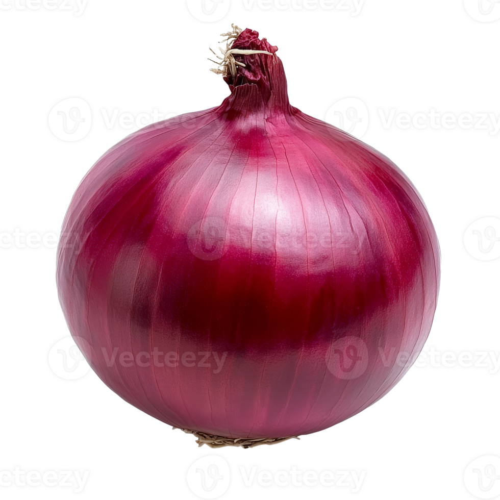 Fresh red onion on a white background for cooking png