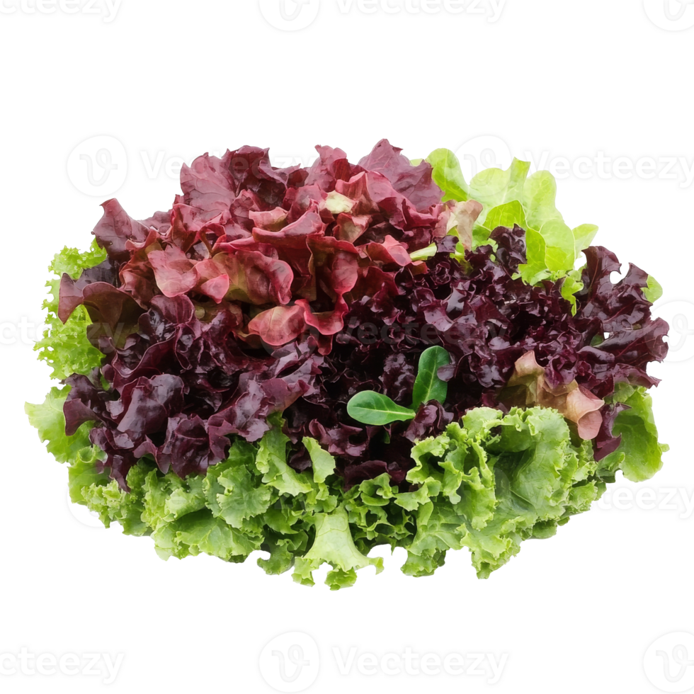 Mixed lettuce assortment on table png