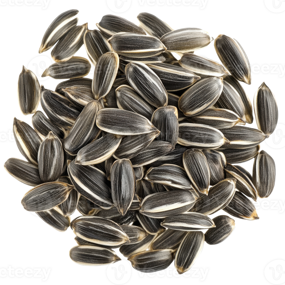 Sunflower seeds in natural light png