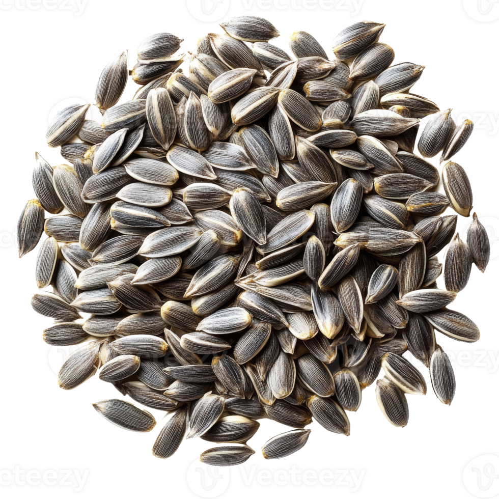 Close up of sunflower seeds on a white background png