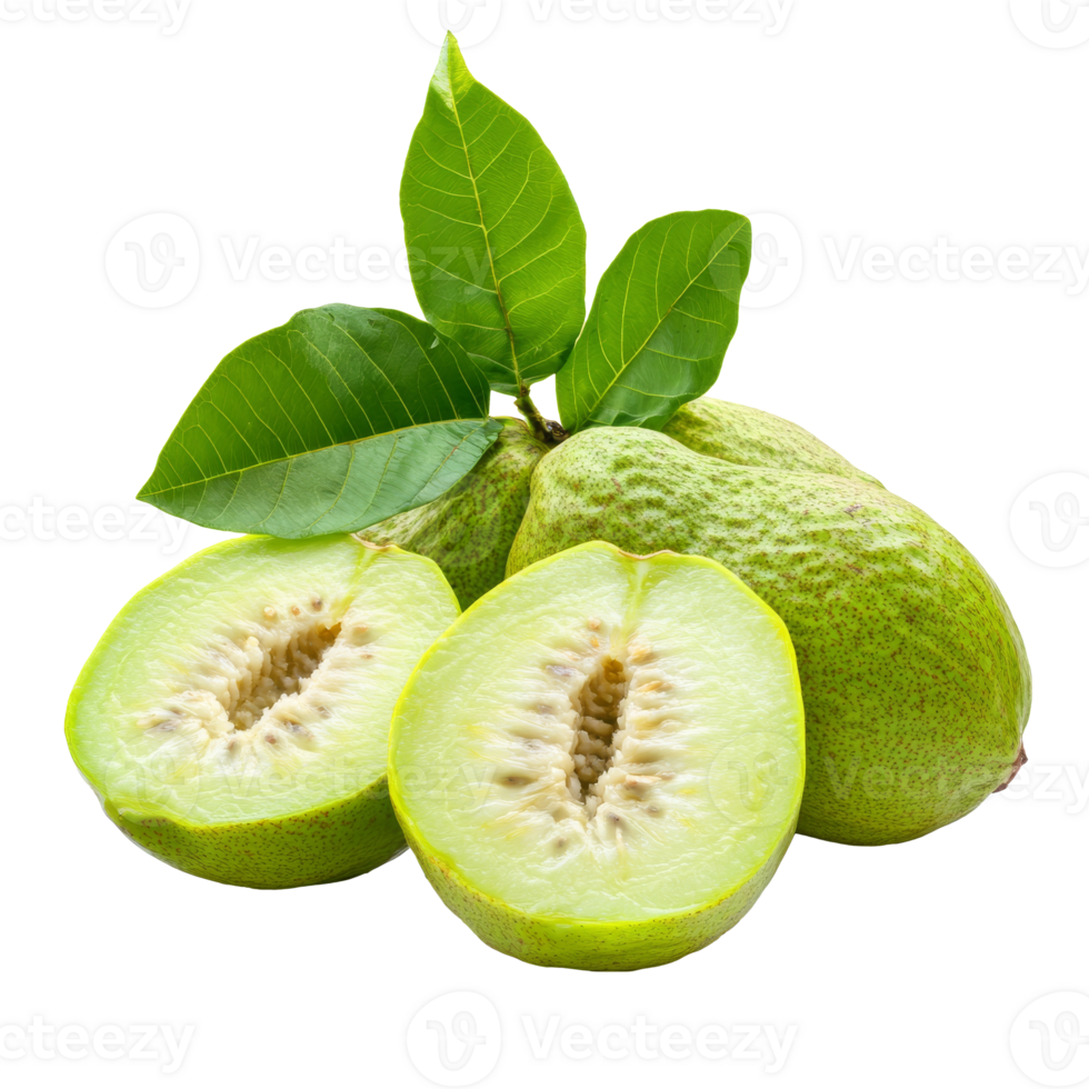 Green guavas with leaves on white png