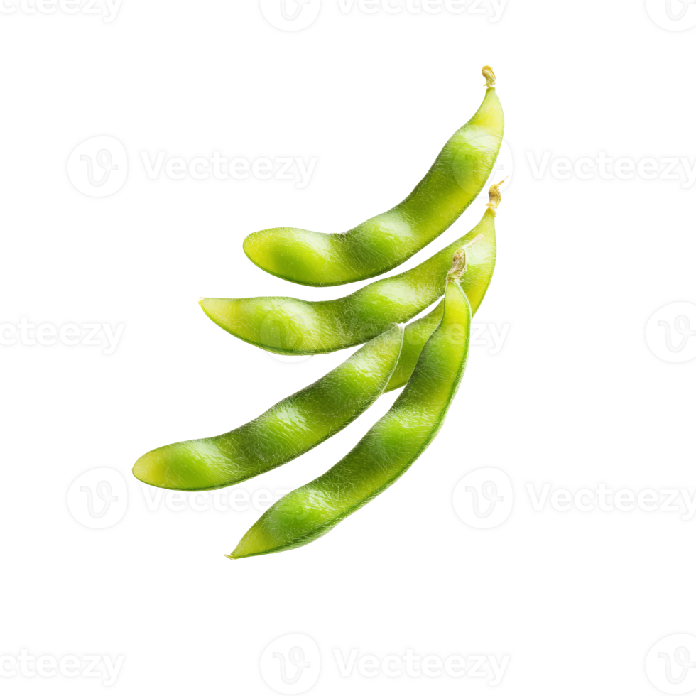 Green edamame on white background png