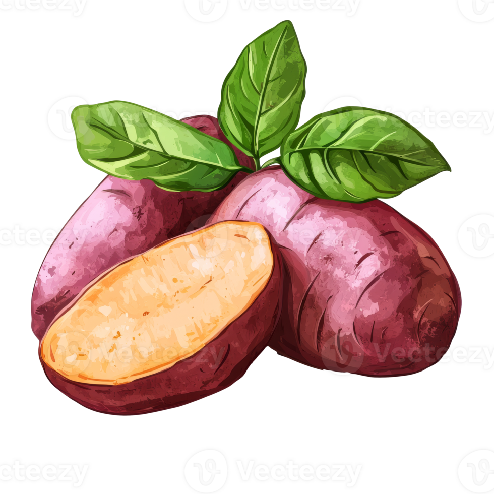 Fresh sweet potatoes with green leaves on display png
