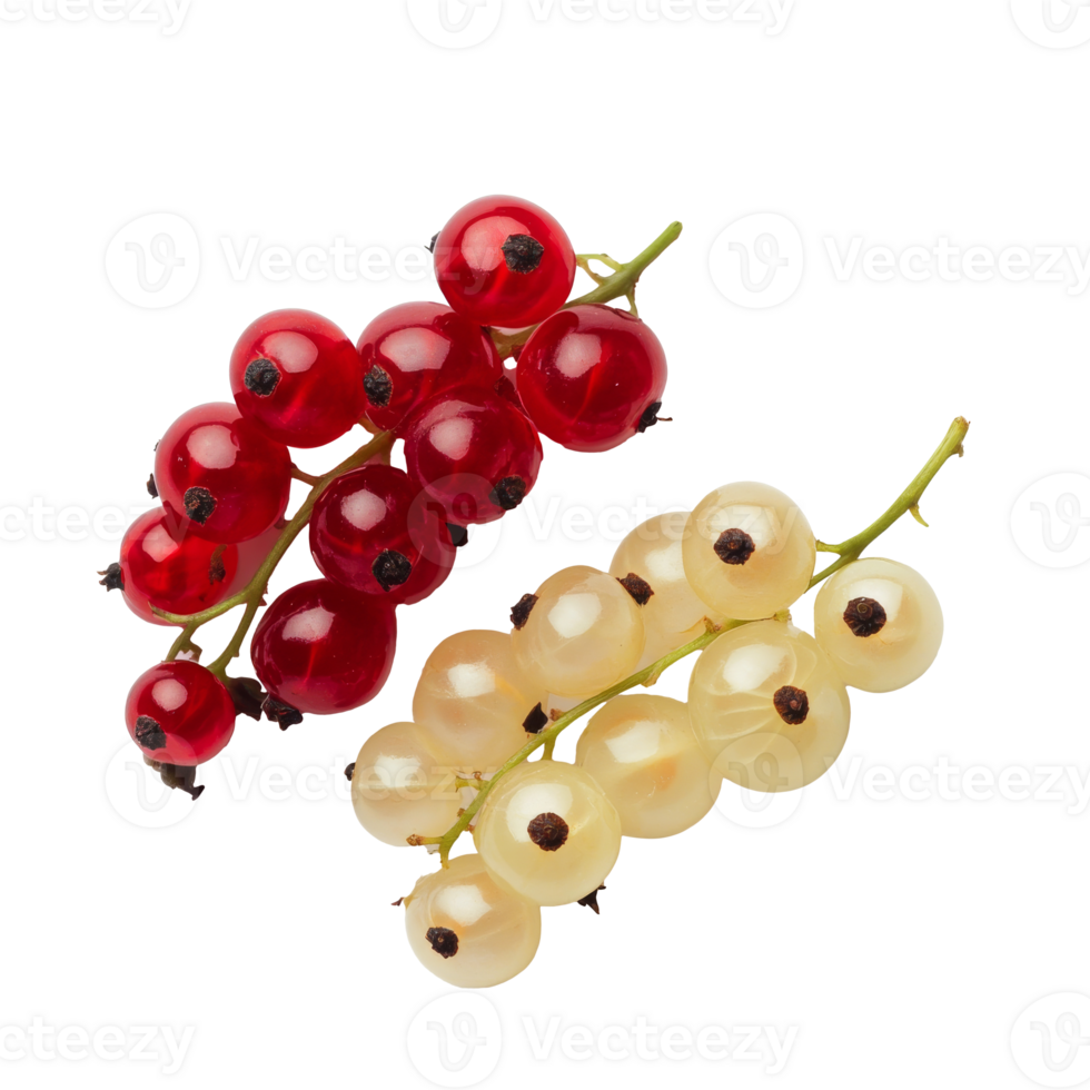 Fresh red and white currants displayed together png