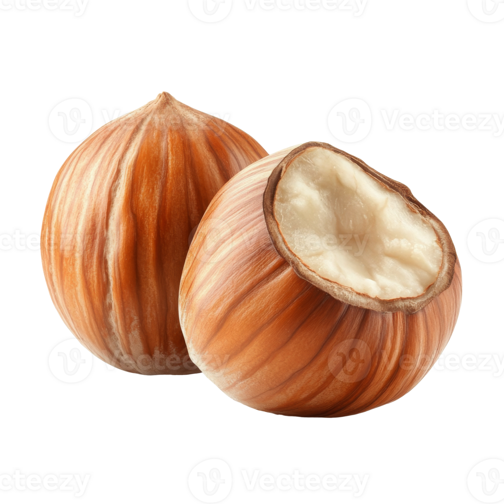 Close up of hazelnuts on light background png