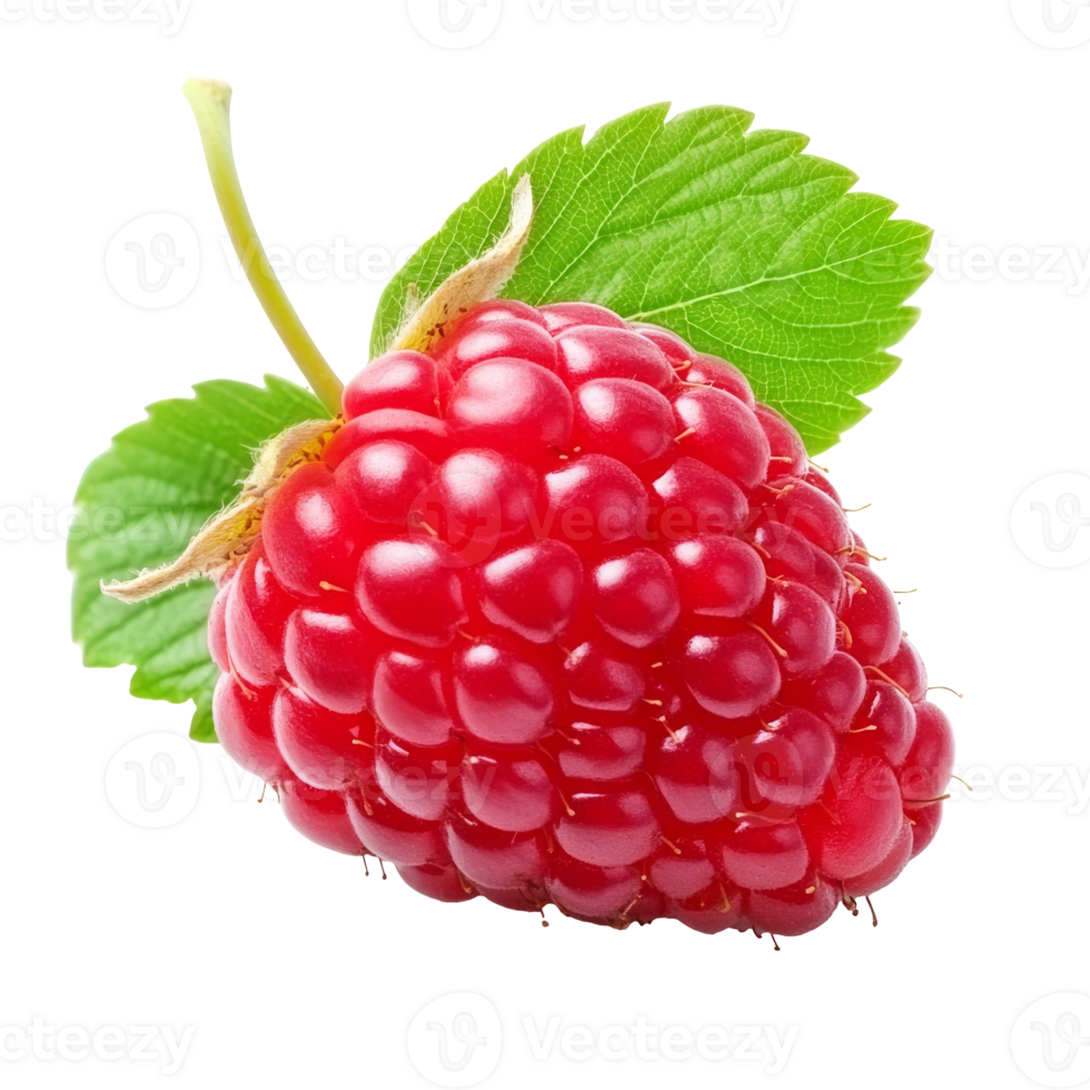 Raspberry with green leaves on white png
