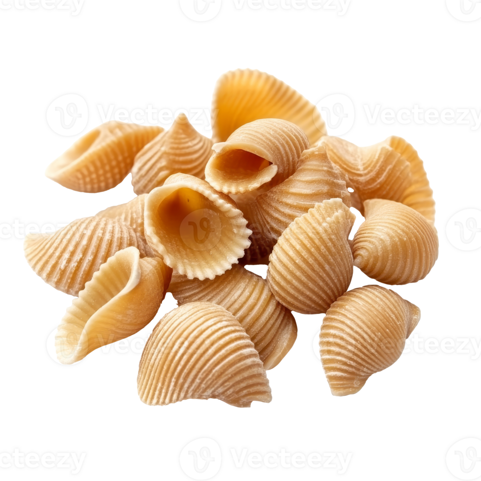 Various pasta shells on a white background png