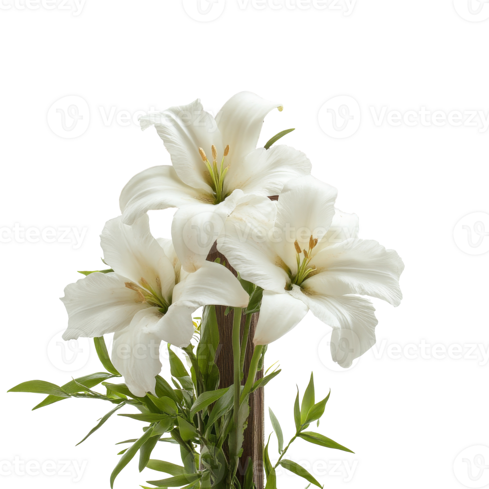 White lilies and greenery on light backdrop png