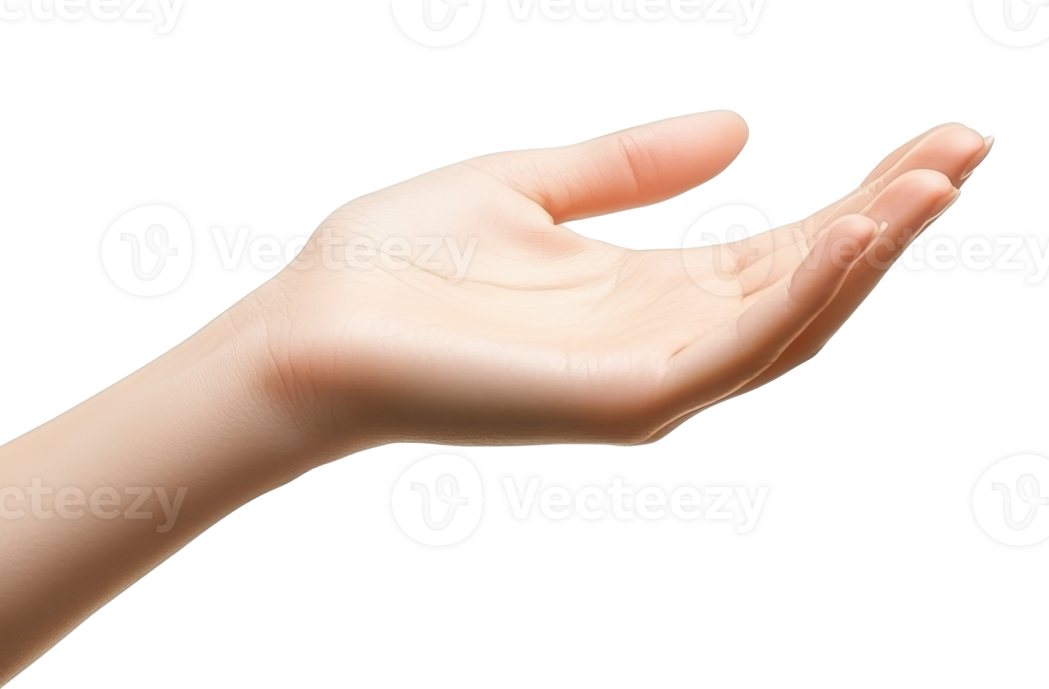 Open hand gesture extended towards an audience png