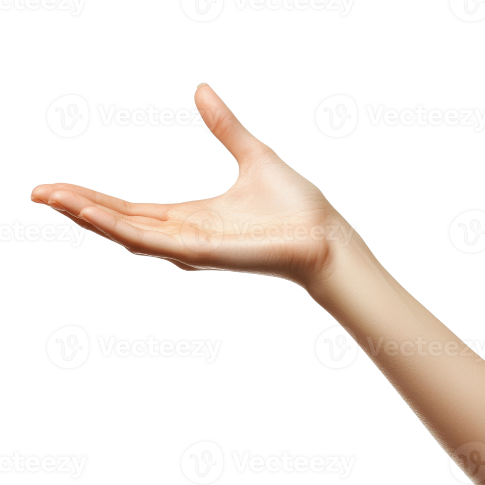 Open hand gesture against a neutral background png