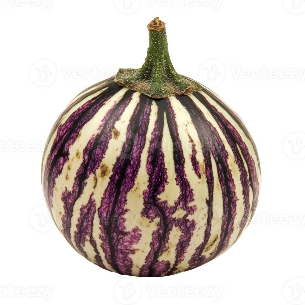 Vibrant striped eggplant, unique shape png