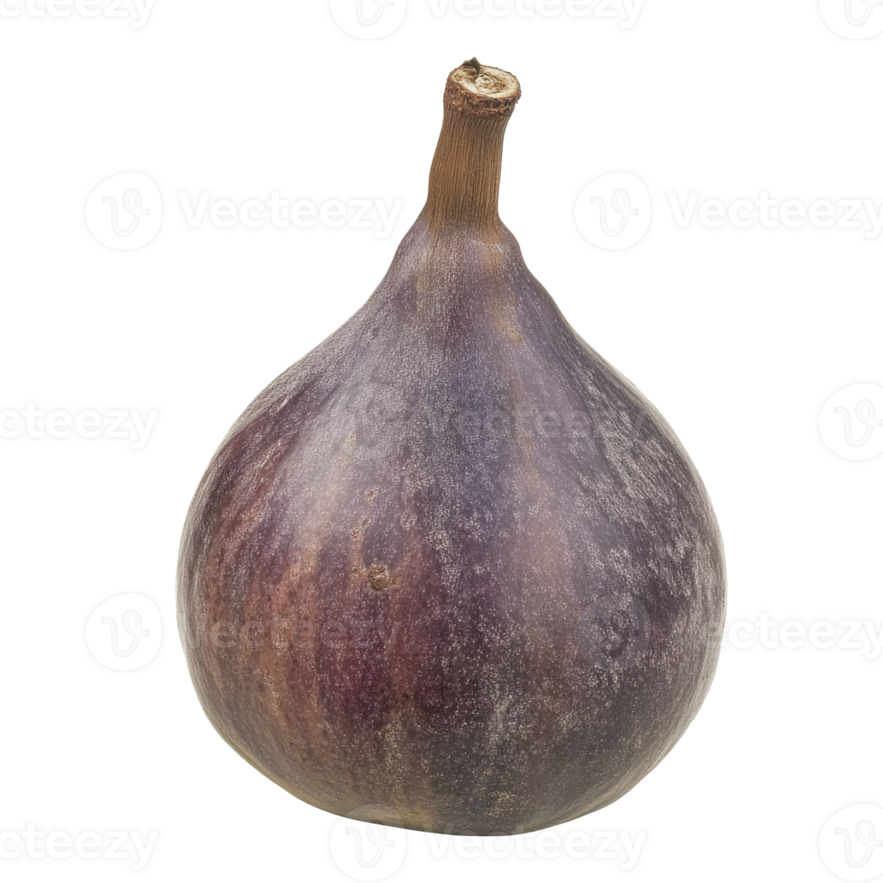 Natural fresh fig on display png