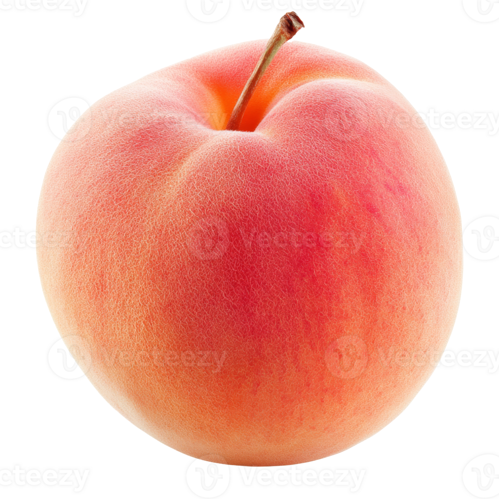 Fresh peach resting on a plain background png