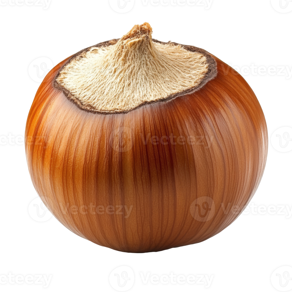 Brown onion on white background png