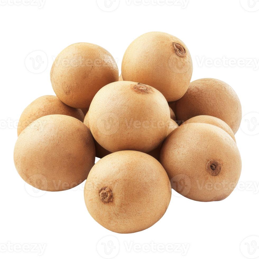 Fresh sapodilla fruits piled in natural setting png