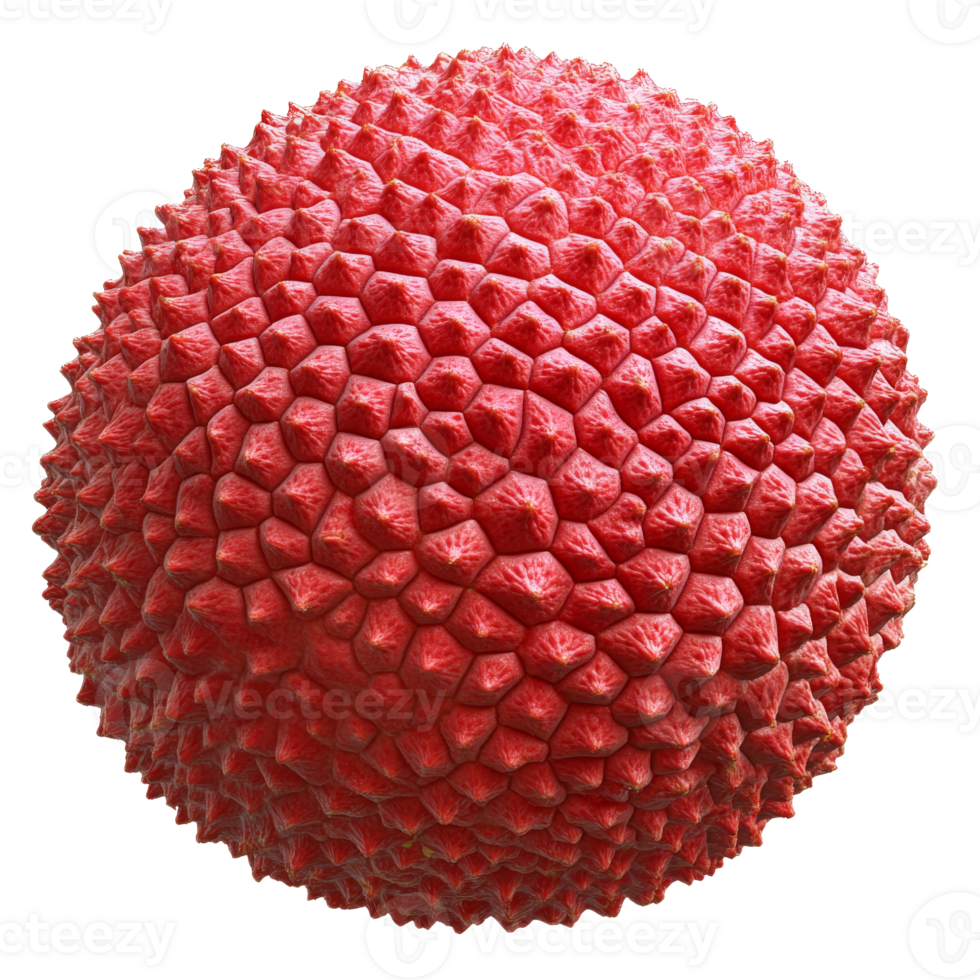 Detailed view of a textured red sphere with spikes png