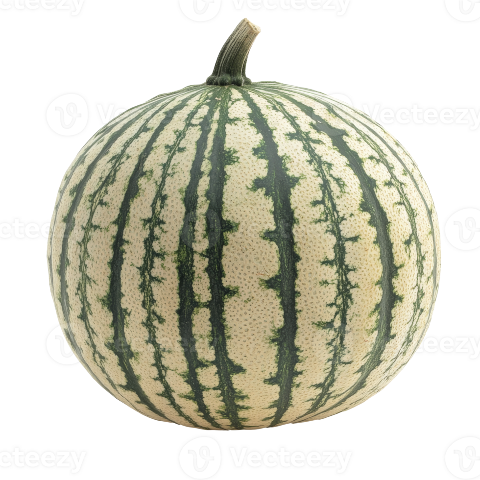 Striped melon on plain background png