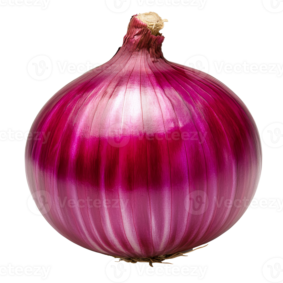 Red onion displaying smooth, glossy skin and shape png