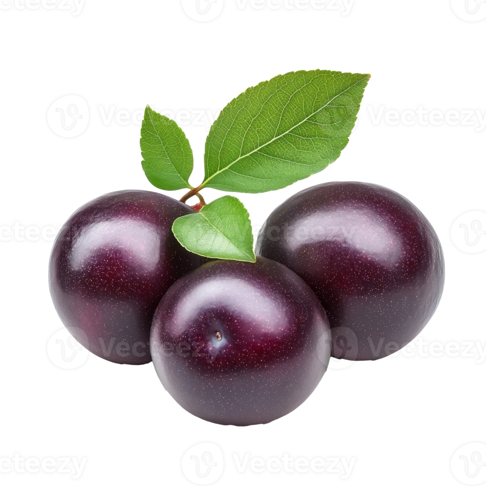 Plums with green leaves on white bg png
