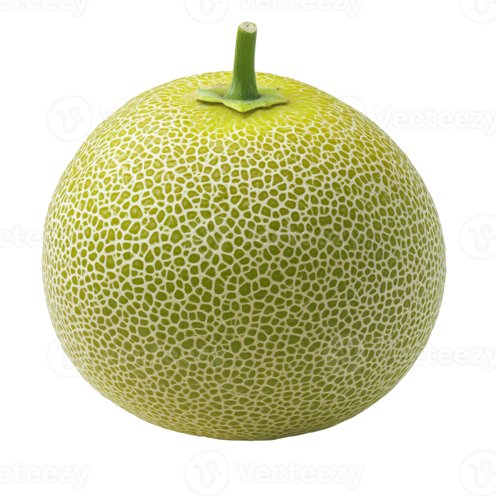 Fresh green melon with unique netted rind texture png