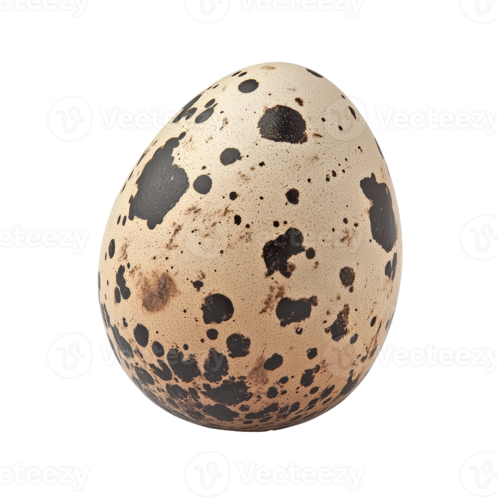 Unique speckled egg resting on a light surface png