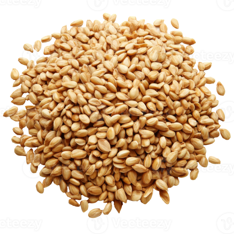 Brown seeds in a mound on white png