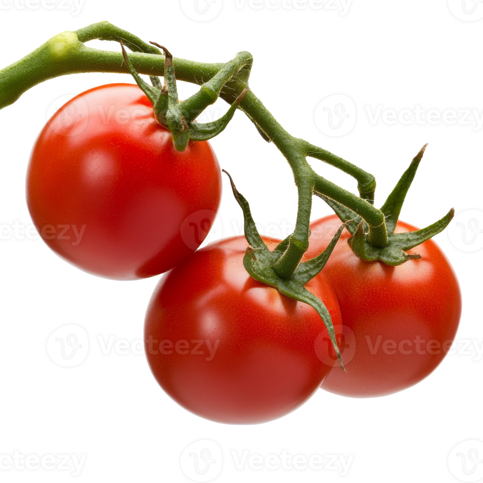 Ripe red tomatoes on the vine png