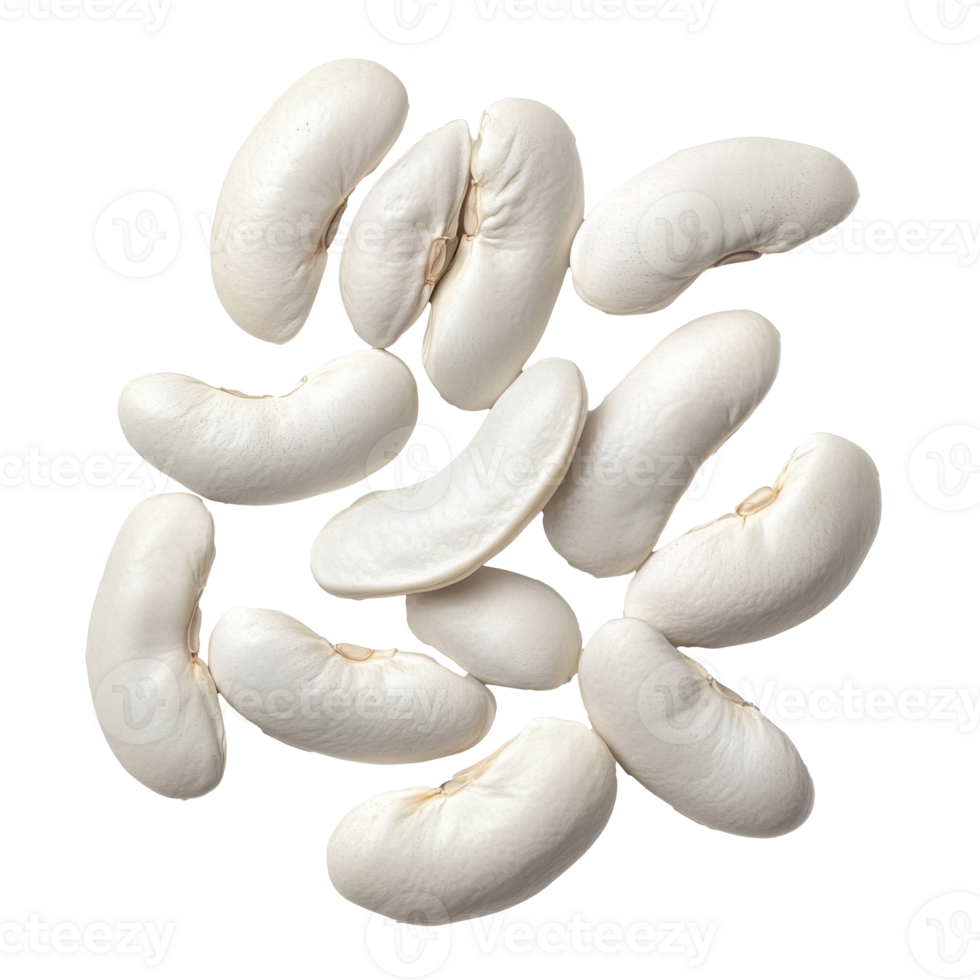 White kidney beans arranged on a plain background png