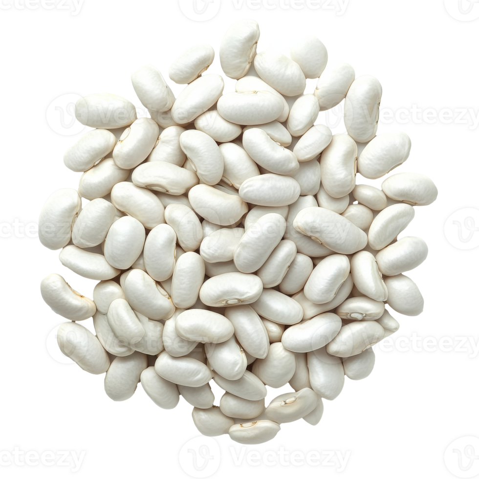 Circular display of white beans for cooking png