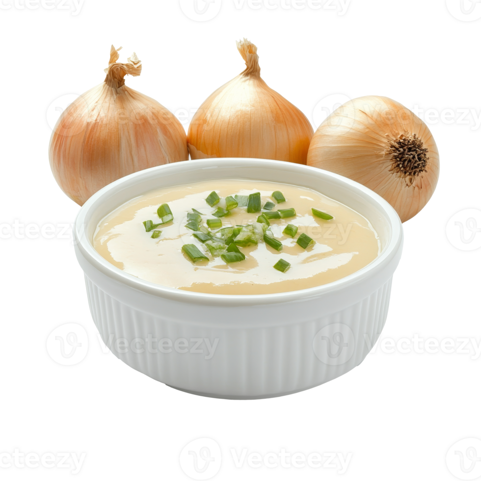 Creamy onion dip served with fresh green onions png
