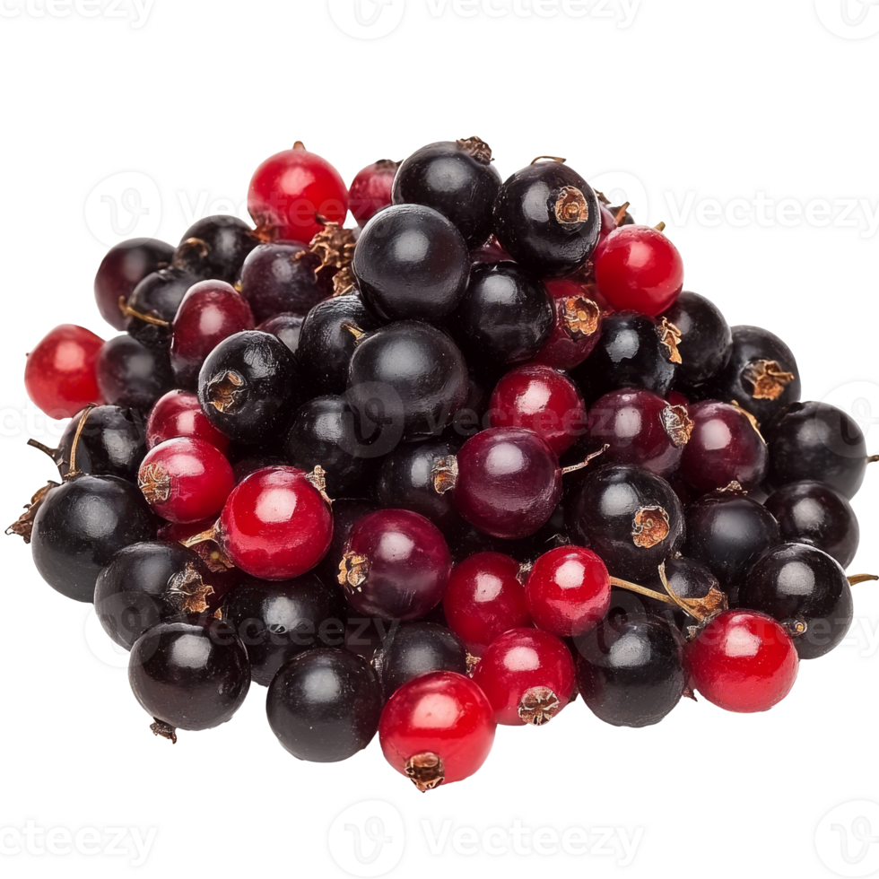 Freshly harvested black and red currants in a pile png