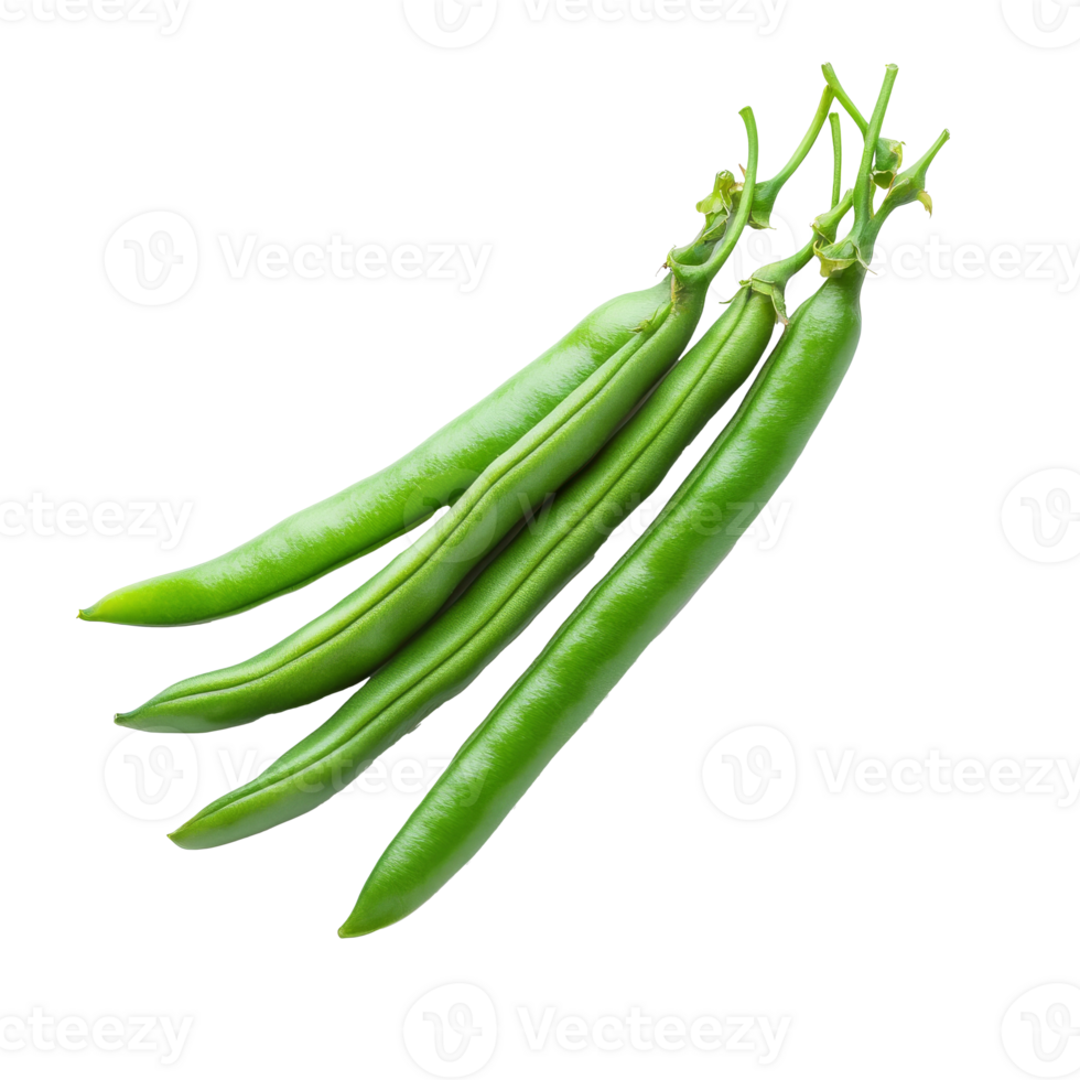Fresh green beans arranged on a white background png