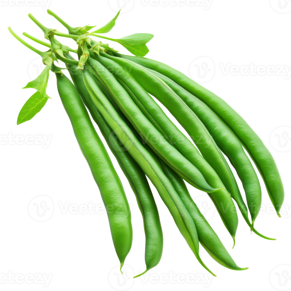 Fresh green beans from a local garden png
