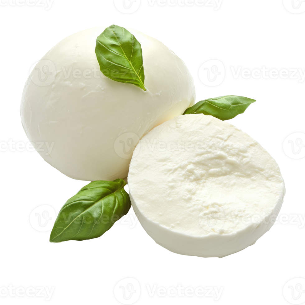 Mozzarella and basil on display png