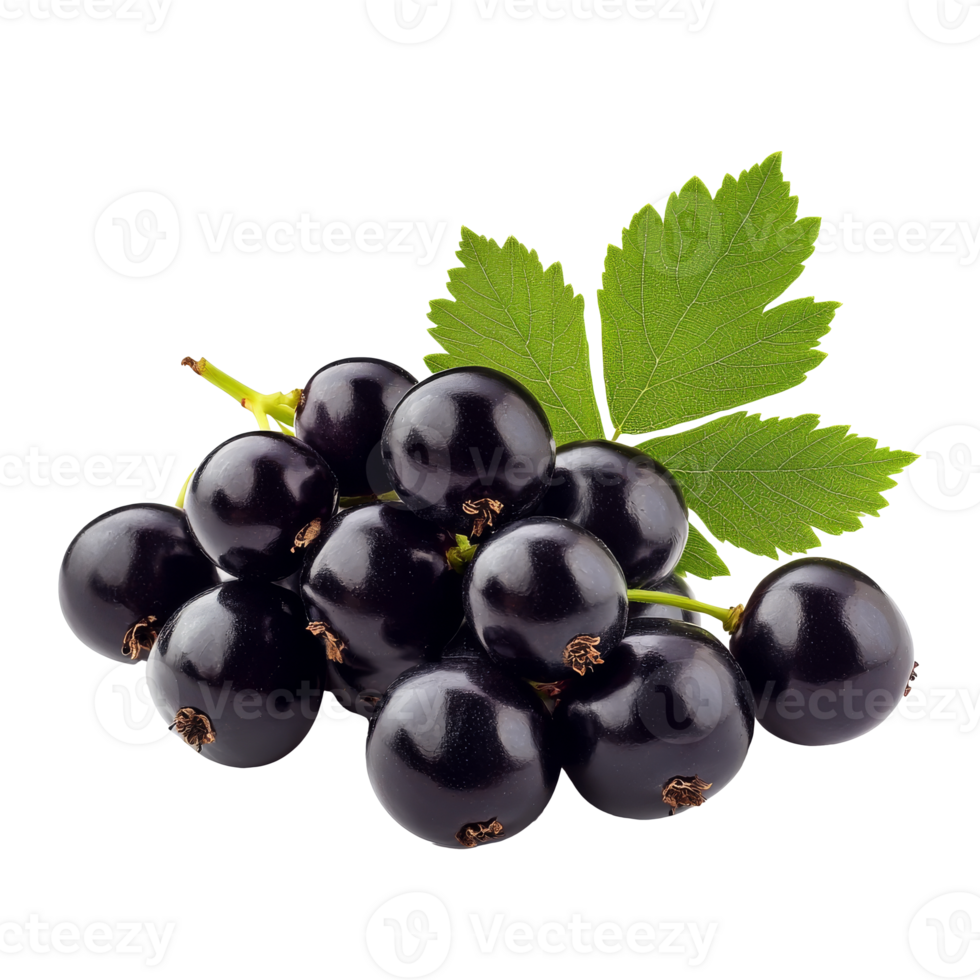 Fresh blackcurrants with green leaves on display png
