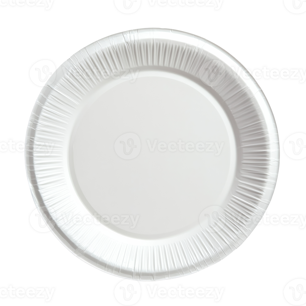 Simple white paper plate for casual dining use png