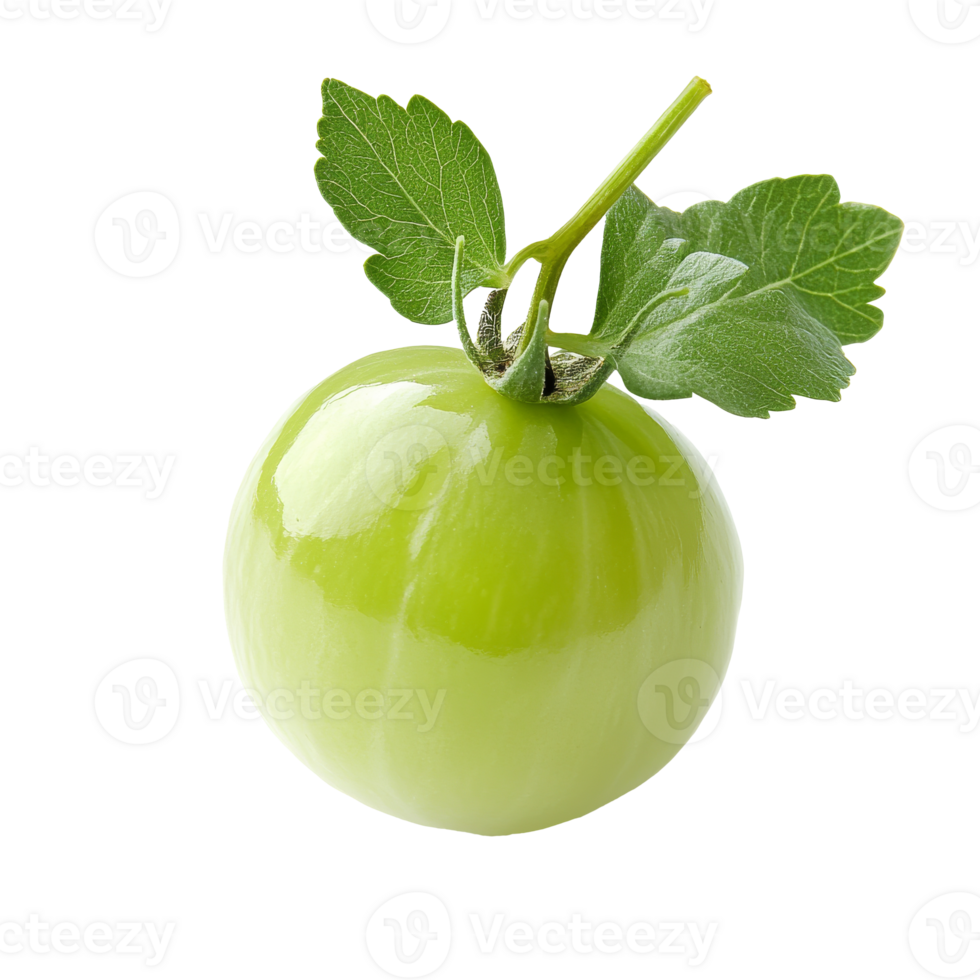 Fresh green tomato with vibrant leaves presented png