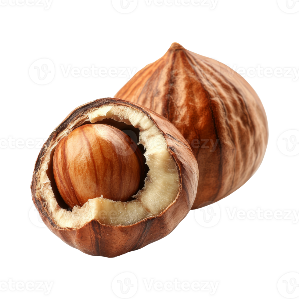 Fresh hazelnuts with shells displayed on a surface png