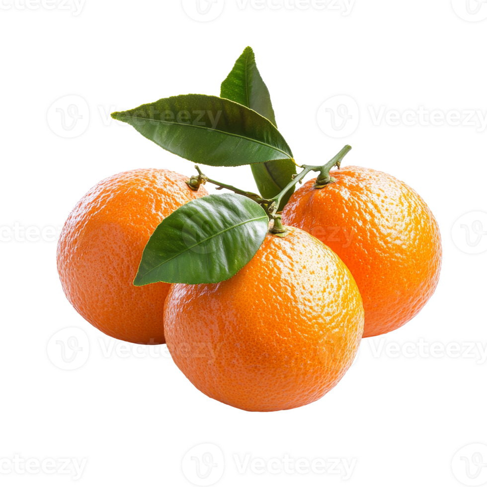 Fresh oranges with green leaves arranged neatly png