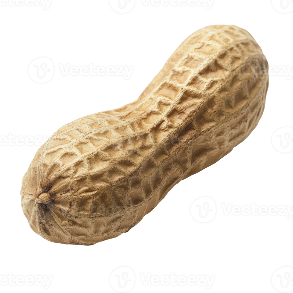 Single dried peanut in a natural brown shell png