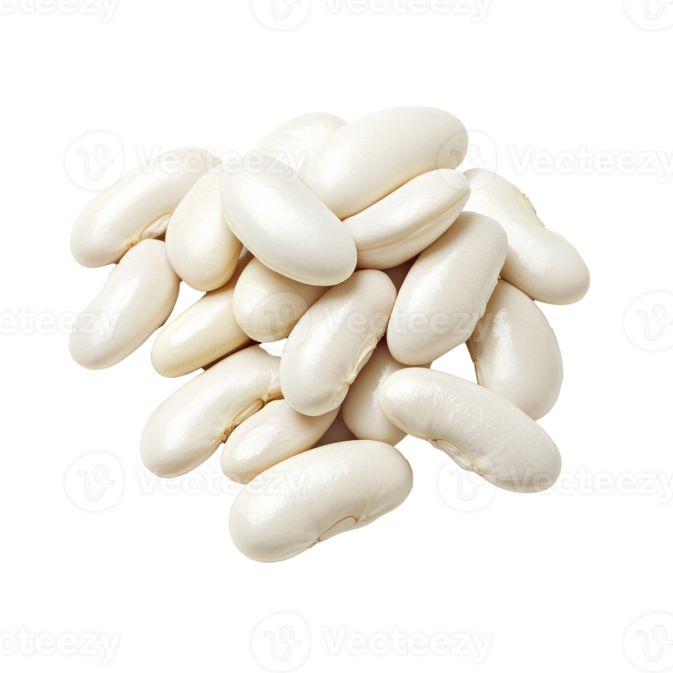 White beans arranged neatly on a clean surface png