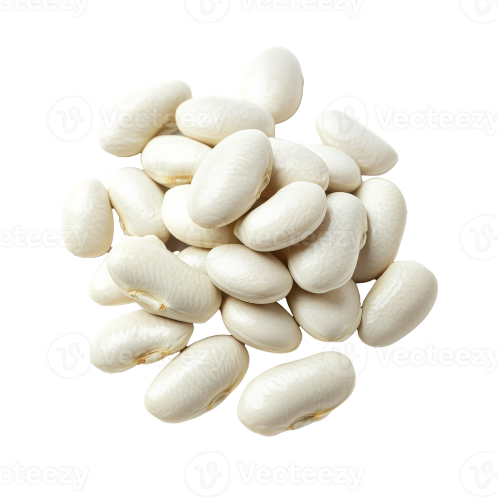 White beans piled on a clean surface for cooking png