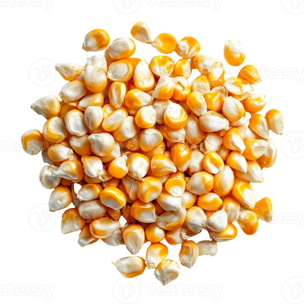 Neat pile of corn kernels on white png