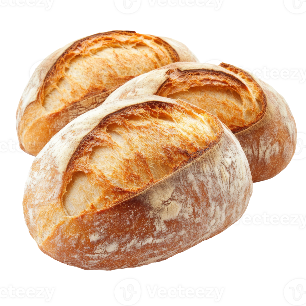 Artisan bread loaves on white backdrop png