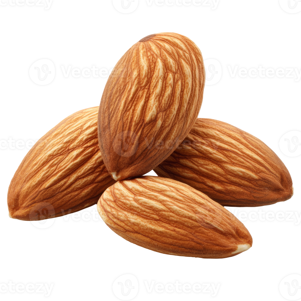 Fresh raw almonds displayed on a white background png
