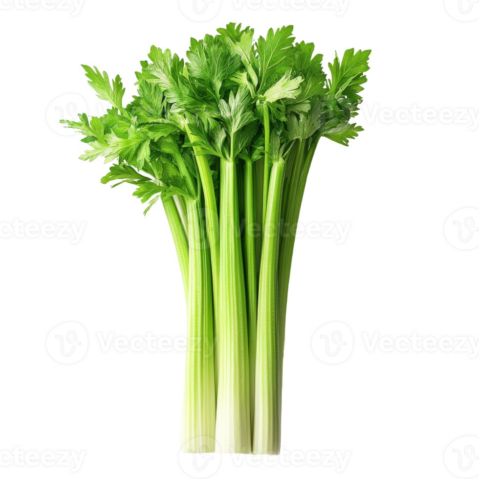 Celery stalks for salad preparation png