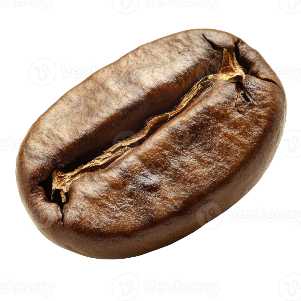 Close up of rich coffee bean texture png